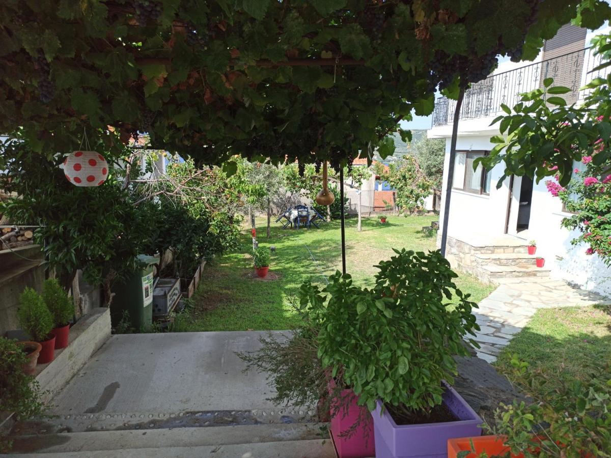 Dora'S House Comfortable Apartment With A Yard And View Pyrgadikia Zewnętrze zdjęcie
