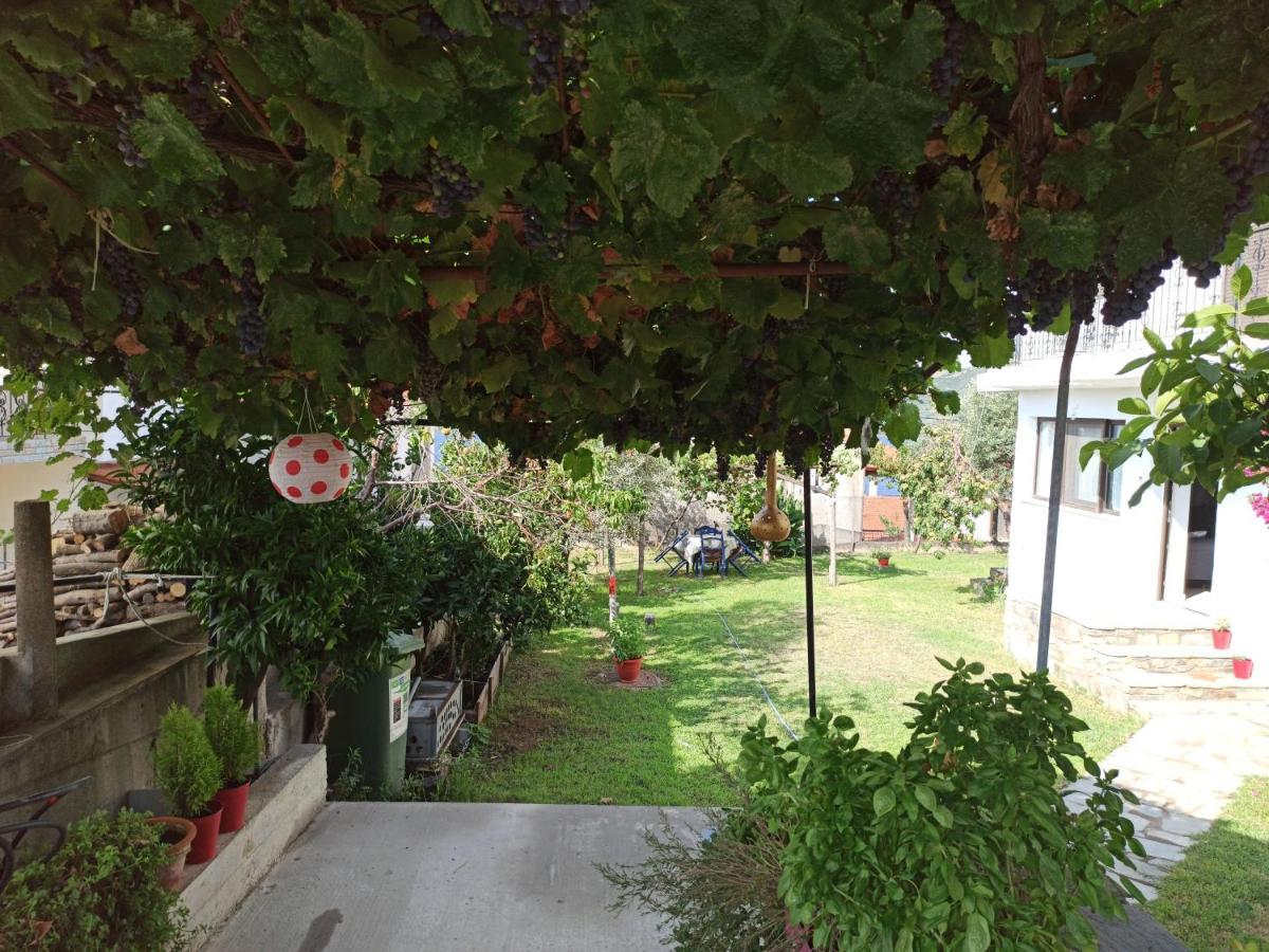 Dora'S House Comfortable Apartment With A Yard And View Pyrgadikia Zewnętrze zdjęcie